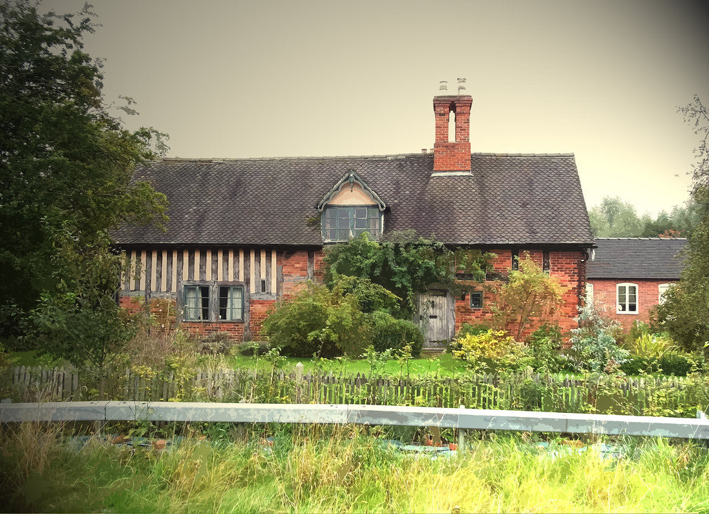 Detail of Timber-framed Cottage on Flackets Lane. Situated close to the A50 Road by Irene Johnson