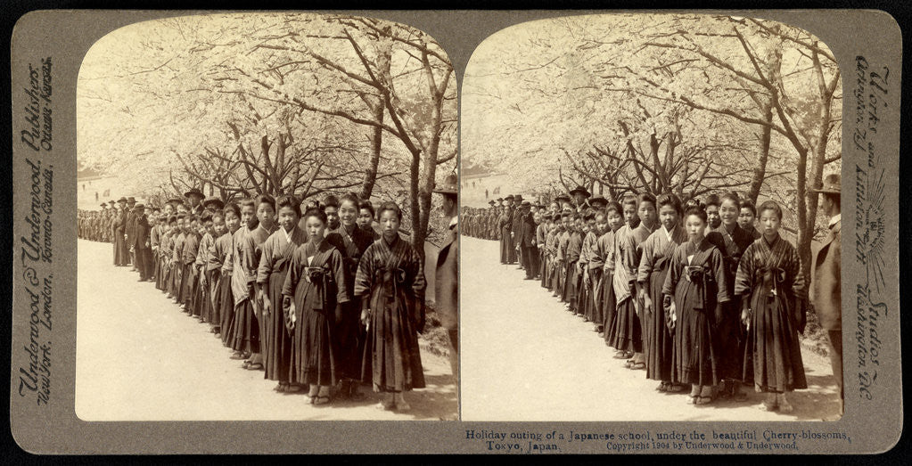 Detail of Holiday outing of a Japanese school, under the beautiful cherry blossoms, Tokyo by Anonymous