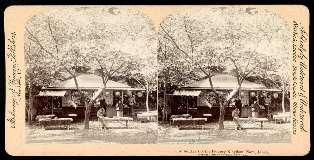 Detail of In the heart of the flowery kingdom, Nara, Japan by Anonymous