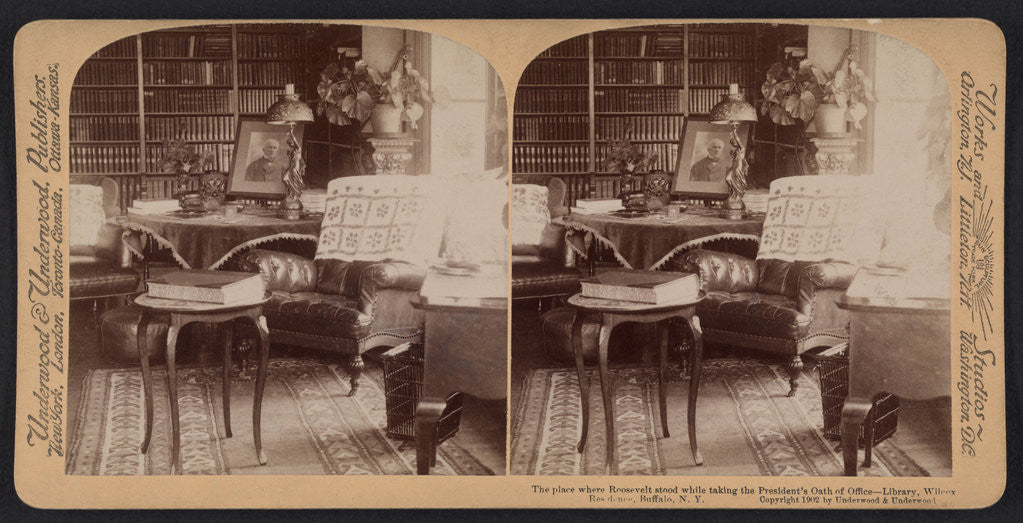 Detail of The place where Roosevelt stood while taking the President's oath of office - library, Wilcox residence, Buffalo, N.Y. by Anonymous