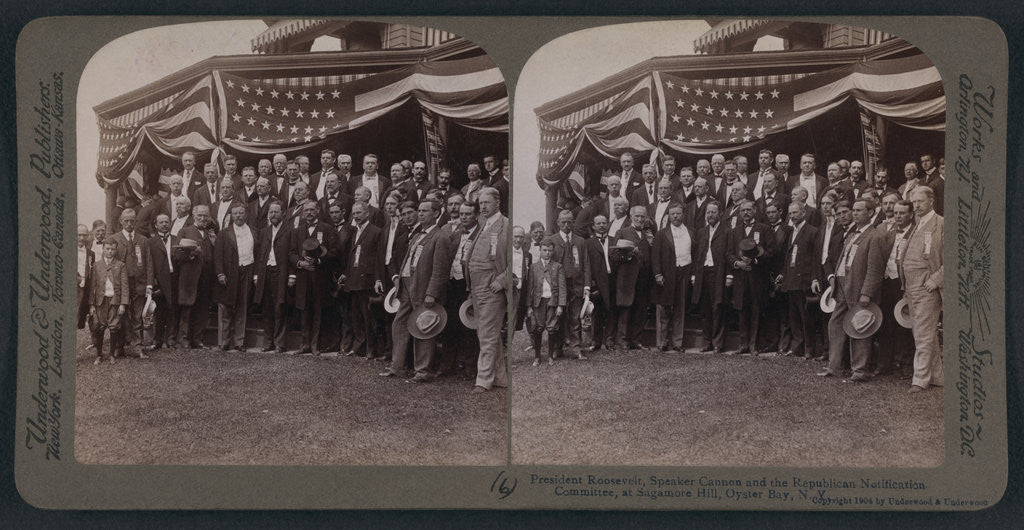 Detail of President Roosevelt, members of Notification Committee and guests, Sagamore Hill, Oyster Bay, N.Y by Anonymous