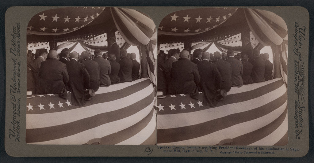 Detail of Speaker Cannon formally notifying President Roosevelt of his nomination at Sagamore Hill, Oyster Bay, N.Y by Anonymous
