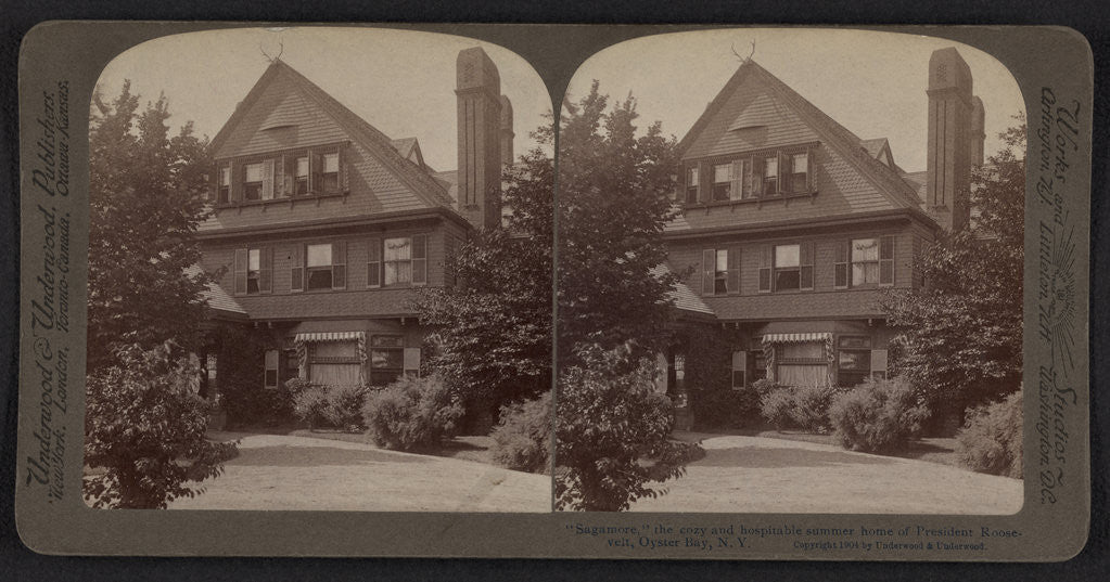 Detail of Sagamore, the cozy and hospitable summer home of President Roosevelt, Oyster Bay, N.Y by Anonymous