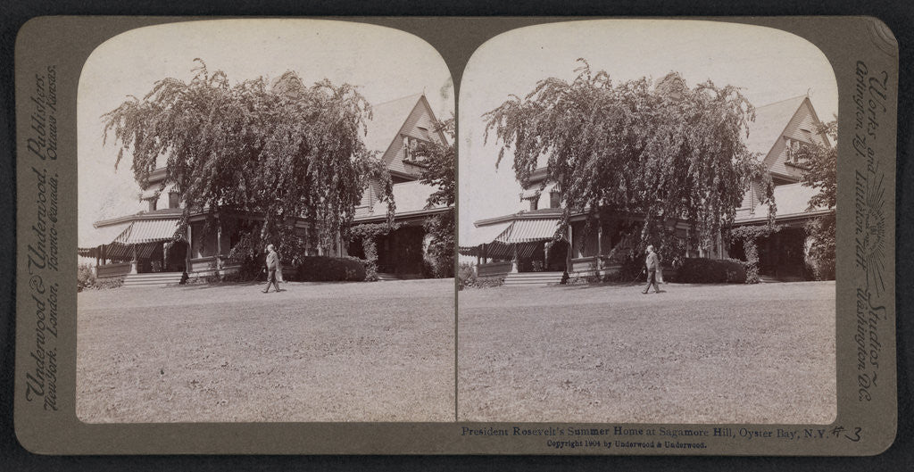 Detail of President Roosevelt's summer home at Sagamore Hill, Oyster Bay, N.Y by Anonymous