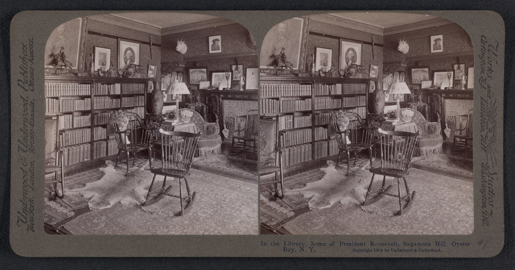 Detail of In the library, home of President Roosevelt, Sagamore Hill, Oyster Bay, N.Y by Anonymous