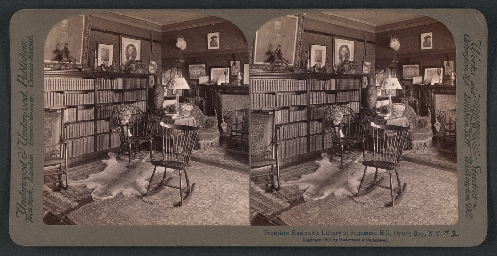 Detail of President Roosevelt's library at Sagamore Hill, Oyster Bay, N.Y by Anonymous