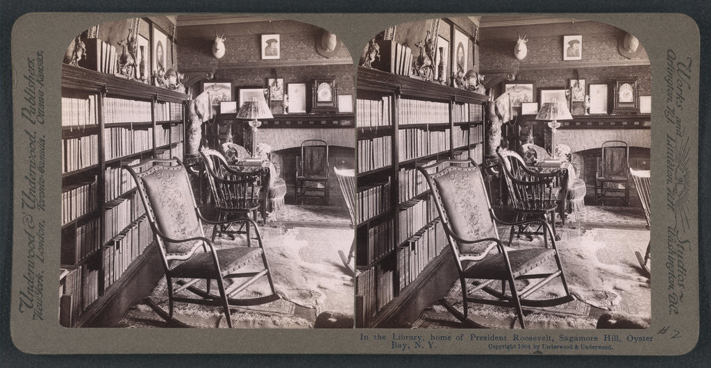Detail of In the library, home of President Roosevelt, Sagamore Hill, Oyster Bay, N.Y by Anonymous