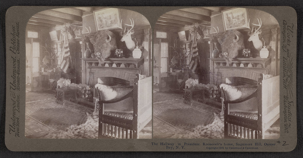 Detail of The hallway in President Roosevelt home, Sagamore Hill, Oyster Bay, N.Y by Anonymous