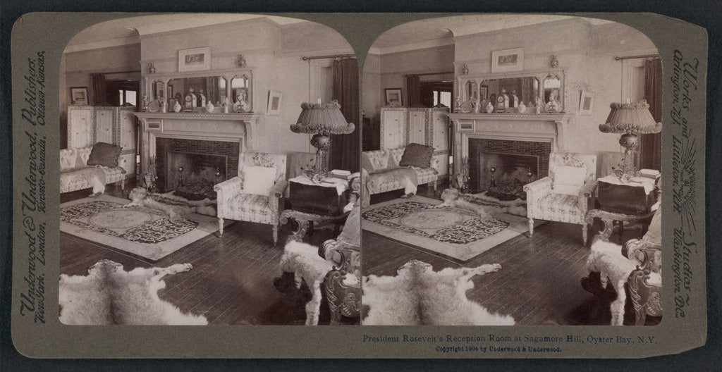 Detail of President Roosevelt's reception room at Sagamore Hill, Oyster Bay, N.Y by Anonymous