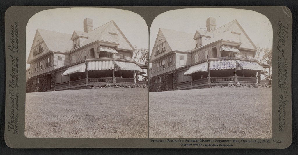 Detail of President Roosevelt's summer home at Sagamore Hill, Oyster Bay, N.Y by Anonymous