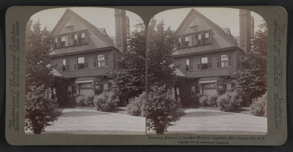 Detail of President Roosevelt's summer home at Sagamore Hill, Oyster Bay, N.Y by Anonymous