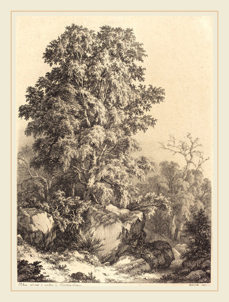 Detail of Beech Grove, 1840 by Eugène Bléry