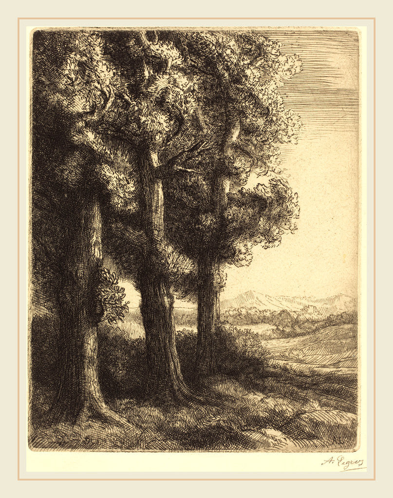 Detail of Corner of a Wood by Alphonse Legros