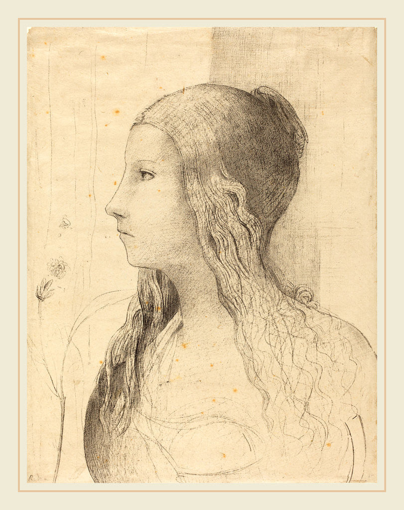 Detail of Brunnhilde, 1894 by Odilon Redon