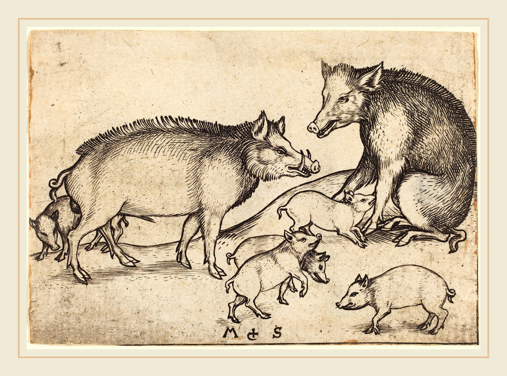 Detail of Family of Pigs by Martin Schongauer