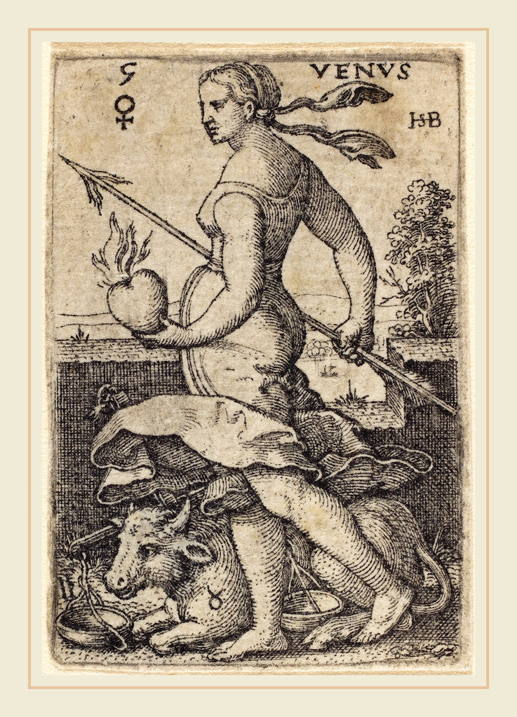 Detail of Venus by Sebald Beham