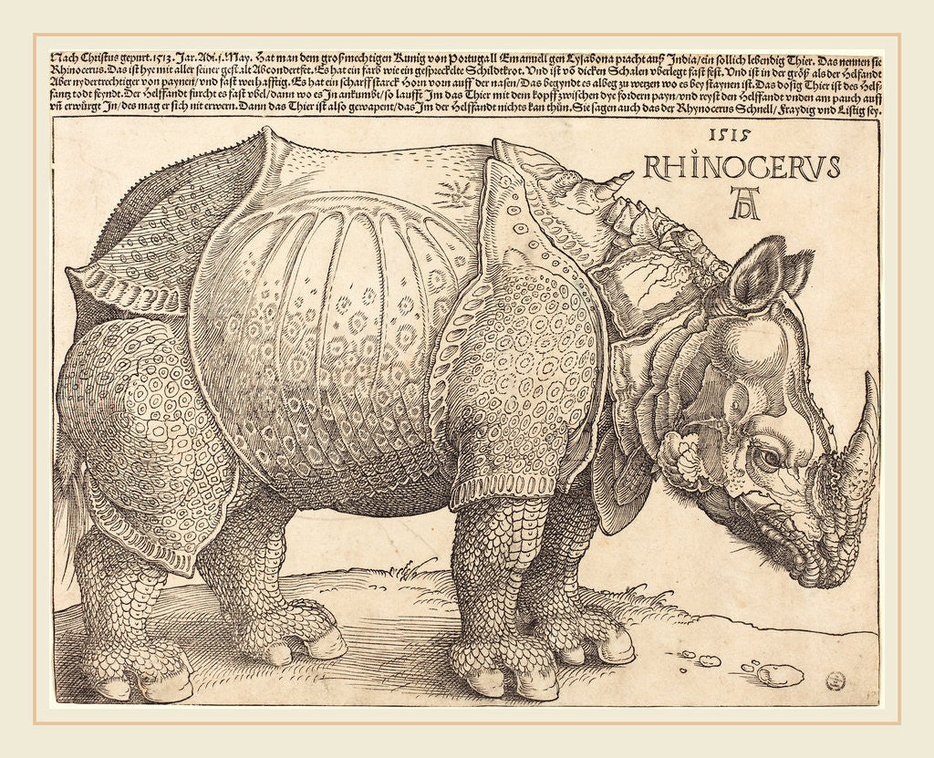 Detail of The Rhinoceros, 1515 by Albrecht Dürer