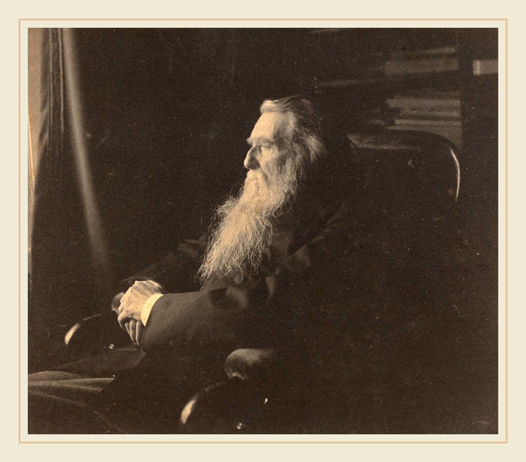 Detail of John Ruskin, c. 1880s by Frederick Hollyer