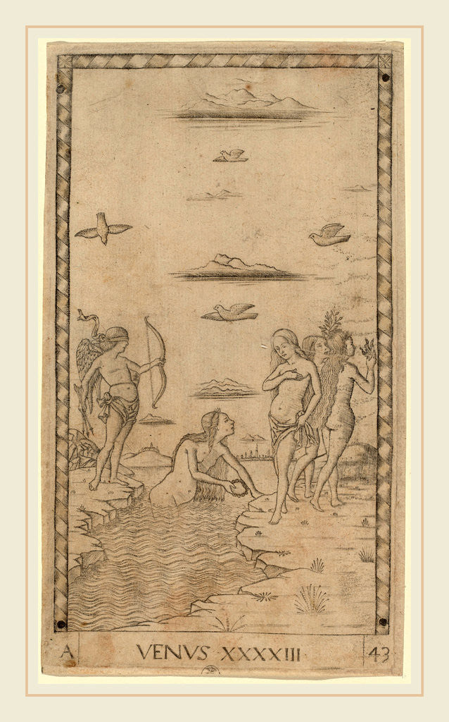 Detail of Venus, c. 1465 by Master of the E-Series Tarocchi