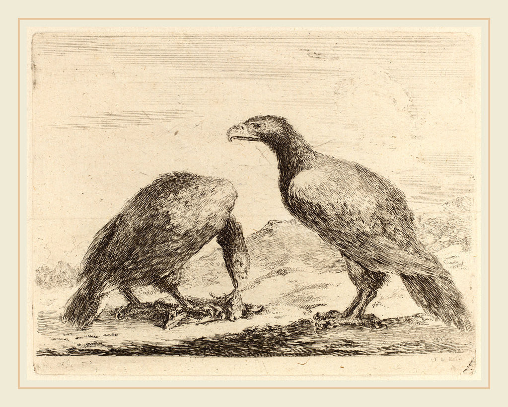 Detail of Two Eagles, One Eating a Small Lamb by Stefano Della Bella