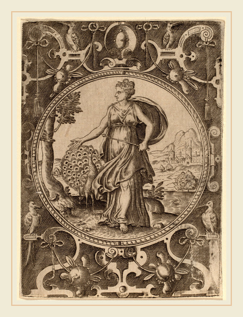 Detail of Juno by Abraham de Bruyn