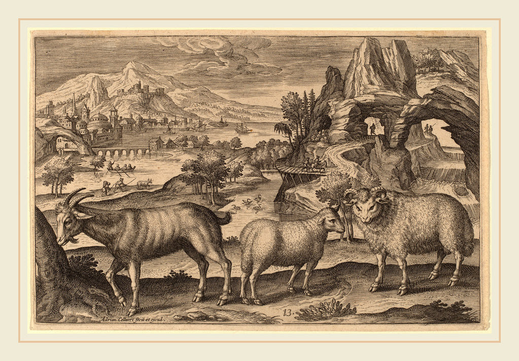 Detail of Animalium Quadrupedum by Adriaen Collaert