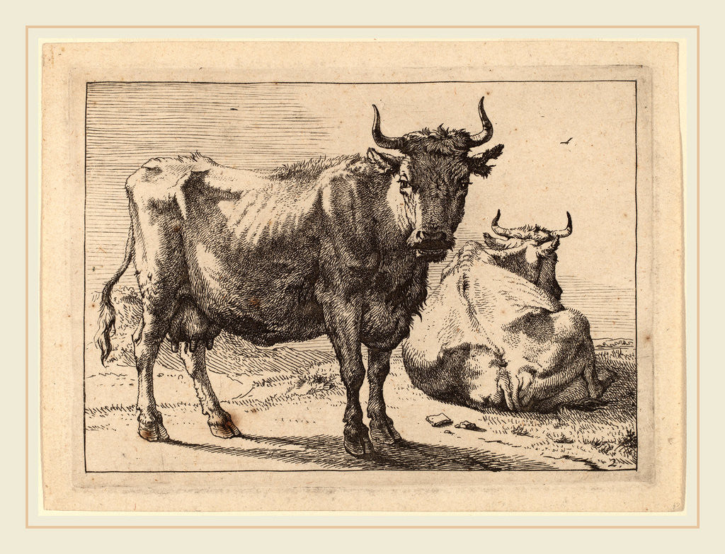 Detail of A Cow Standing and Another Lying Down, 1650 by Paulus Potter