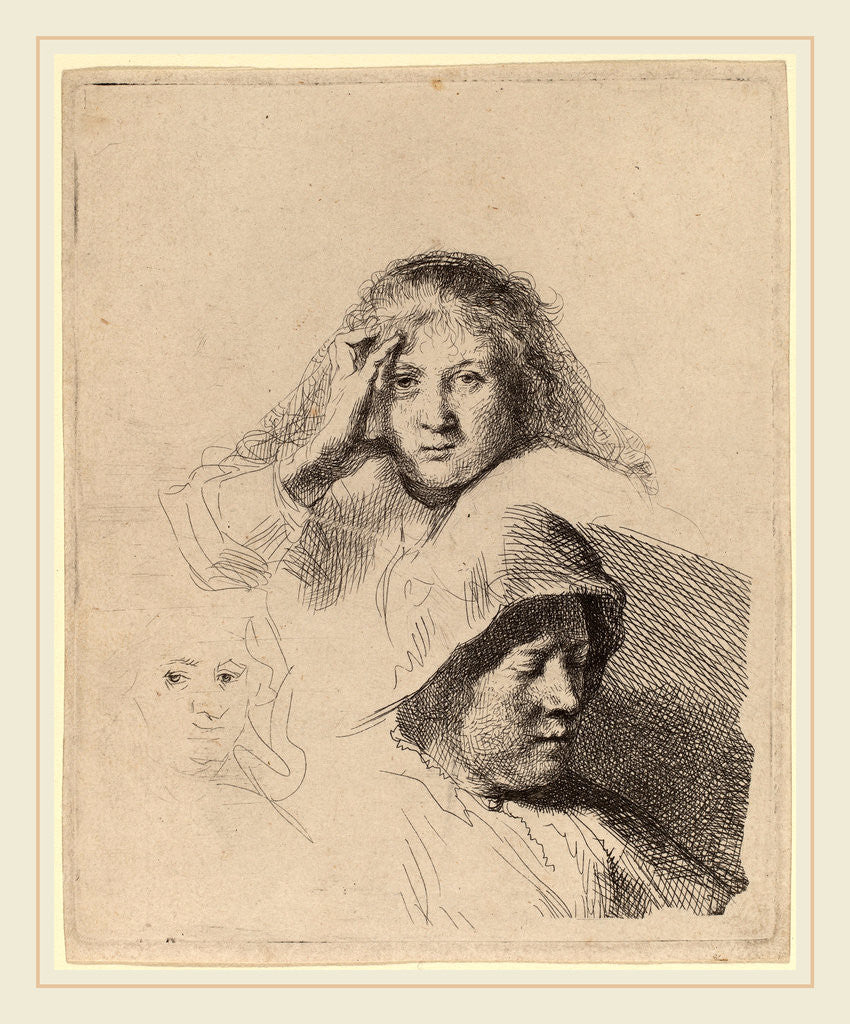 Detail of Three Heads of Women, One Lightly Etched, c. 1637 by Rembrandt van Rijn