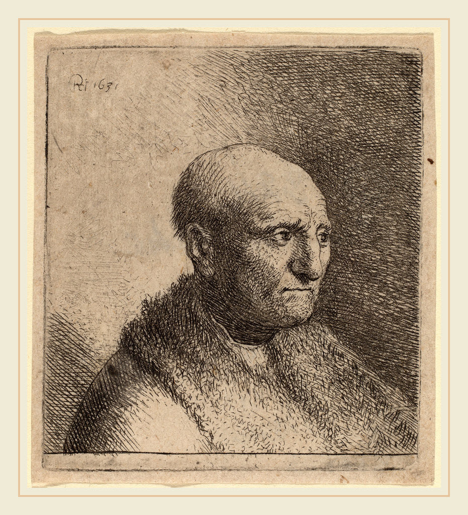 Detail of Bald Man in a Fur Cloak, c. 1630 by Rembrandt van Rijn and Studio of Rembrandt van Rijn