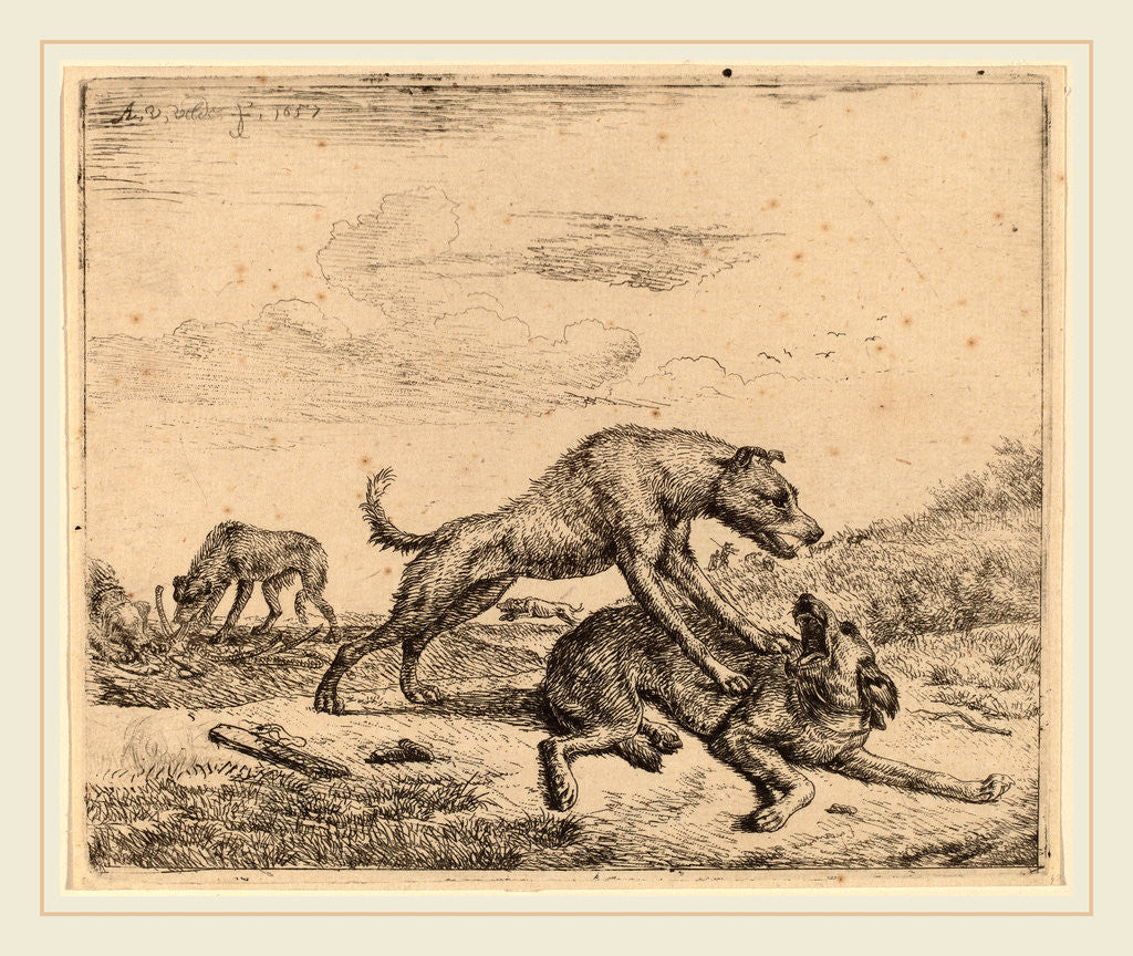 Detail of Fighting Dogs by Adriaen van de Velde