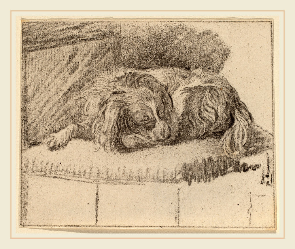 Detail of Lying Dog, 1777 by Cornelis Ploos van Amstel and Cornelis Brouwer