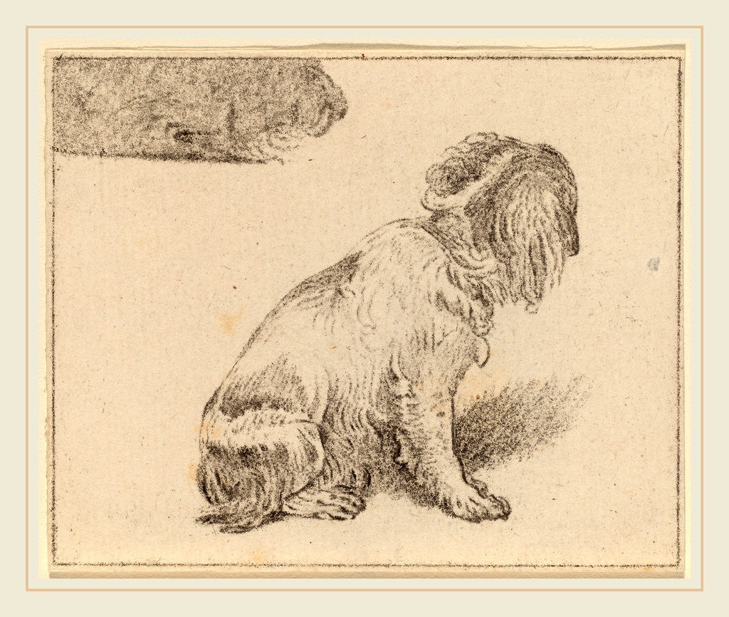 Detail of Seated Dog, 1777 by Cornelis Ploos van Amstel and Cornelis Brouwer