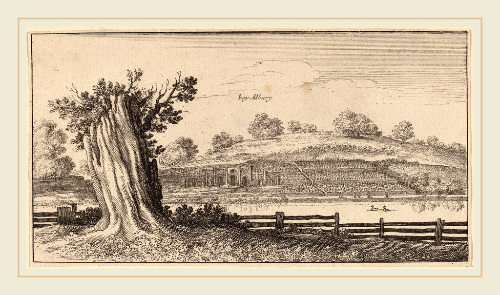 Detail of Albury, 1645 by Wenceslaus Hollar