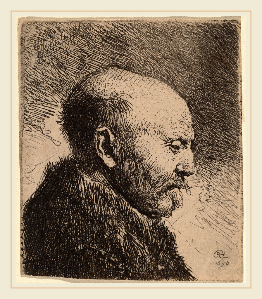 Detail of A Bald Man in Profile (The Artist's Father?) by Anonymous