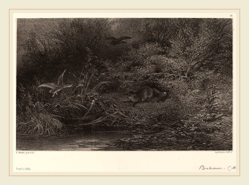 Detail of Renard à l'affût, Swiss by Karl Bodmer