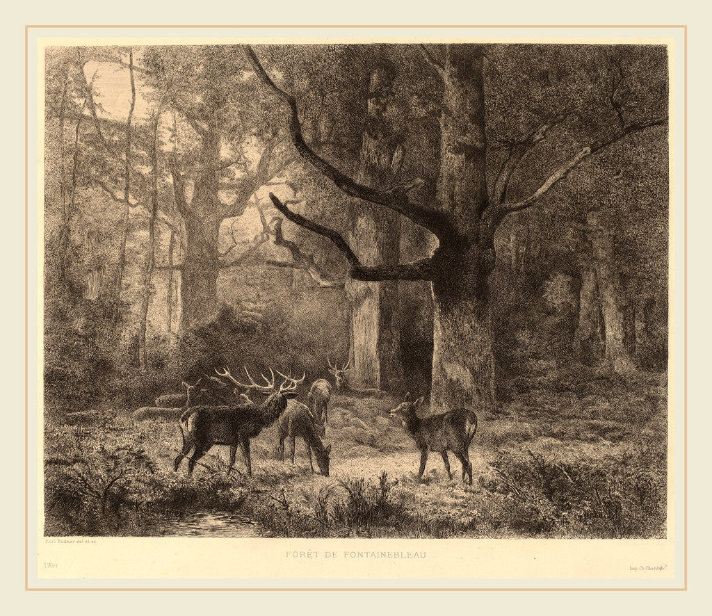 Detail of Forêt de Fontainebleau, Swiss by Karl Bodmer