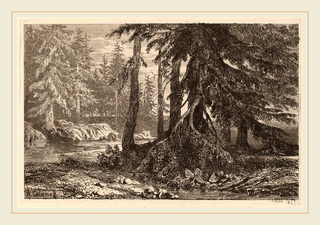 Detail of Essais de gravure à l'eau forte par Alexandre Calame, III, pl. 16 by Alexandre Calame