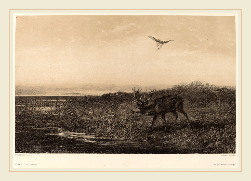 Detail of Le Soir. Cerf et Herons, Swiss by Karl Bodmer