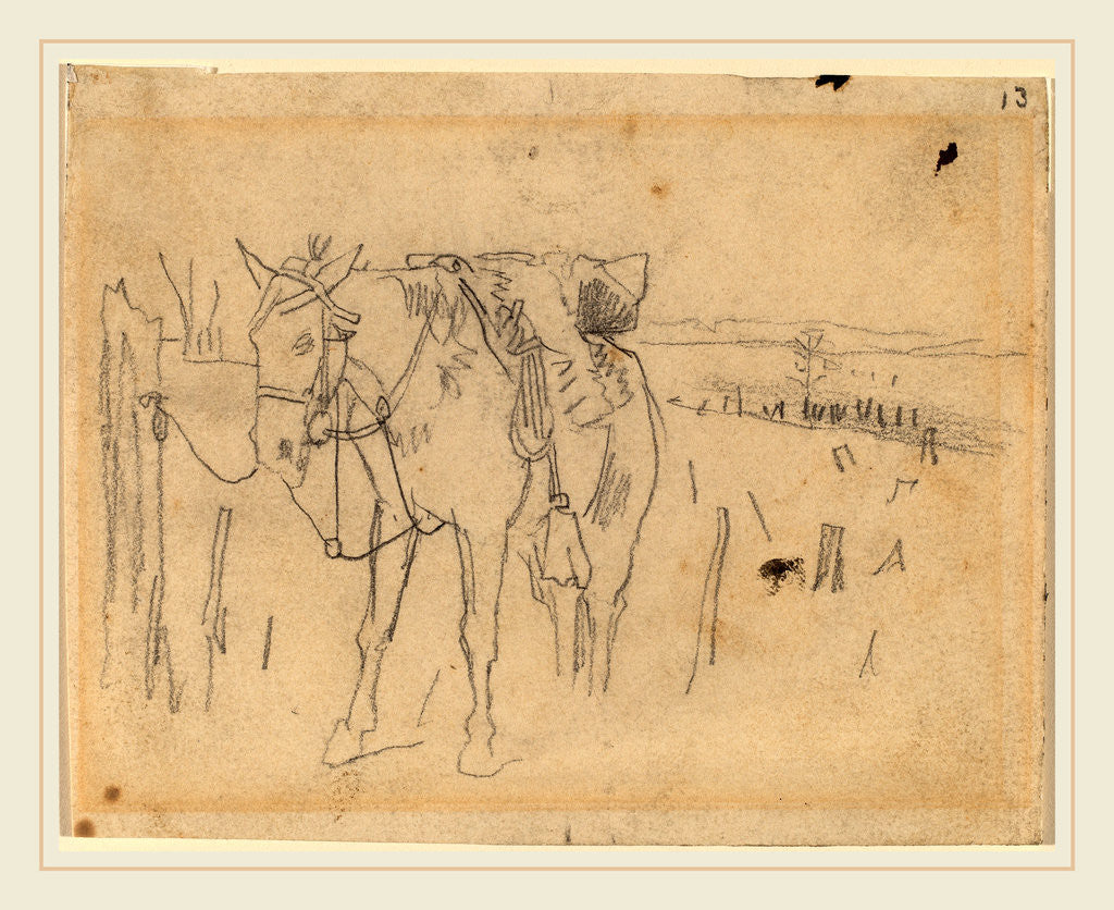 Detail of Tethered by Winslow Homer