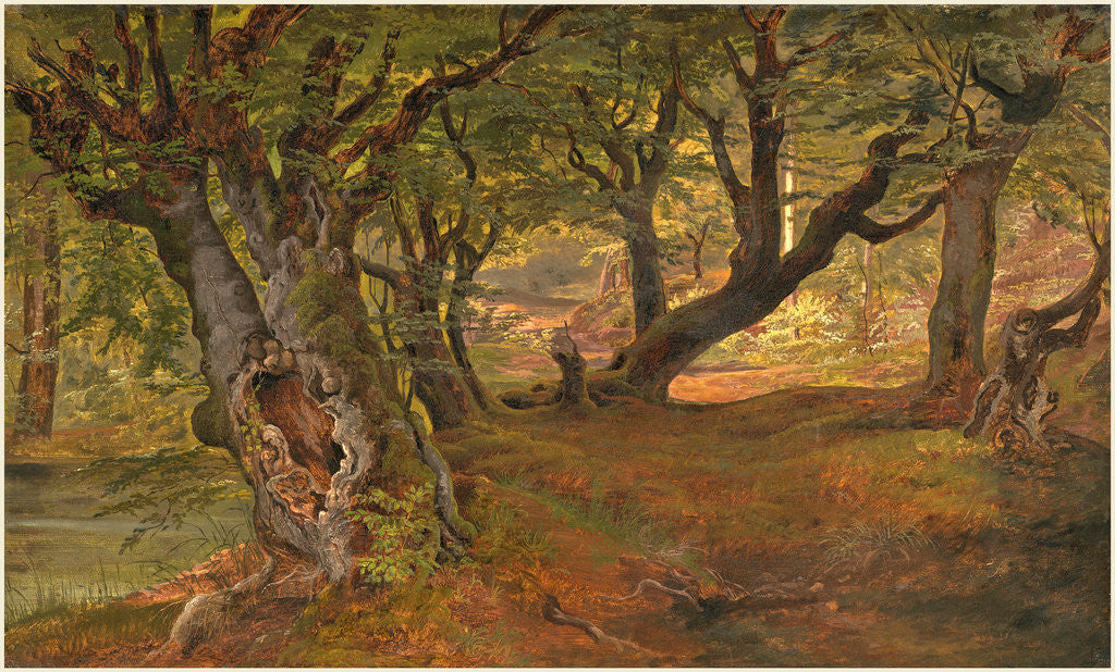 Detail of View of Bregentved Forest, Sjaeeland, mid 1830s by Frederik Sødring