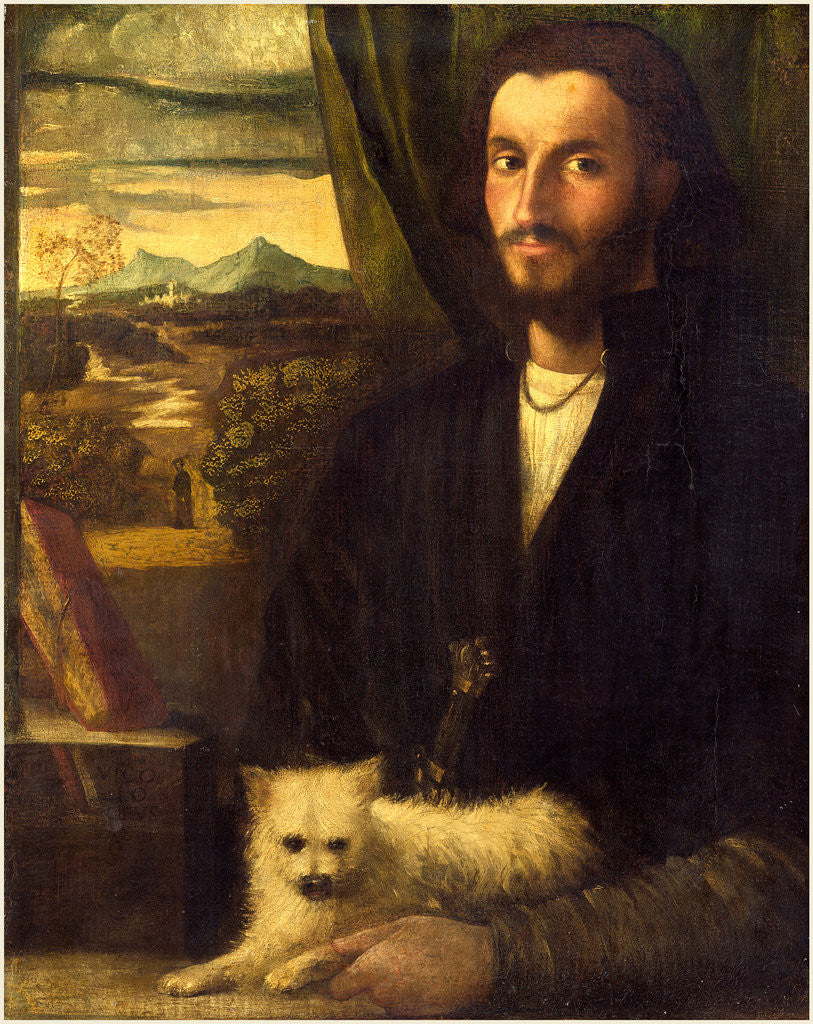 Detail of Italian, Portrait of a Man with a Dog, c. 1520 by Cariani