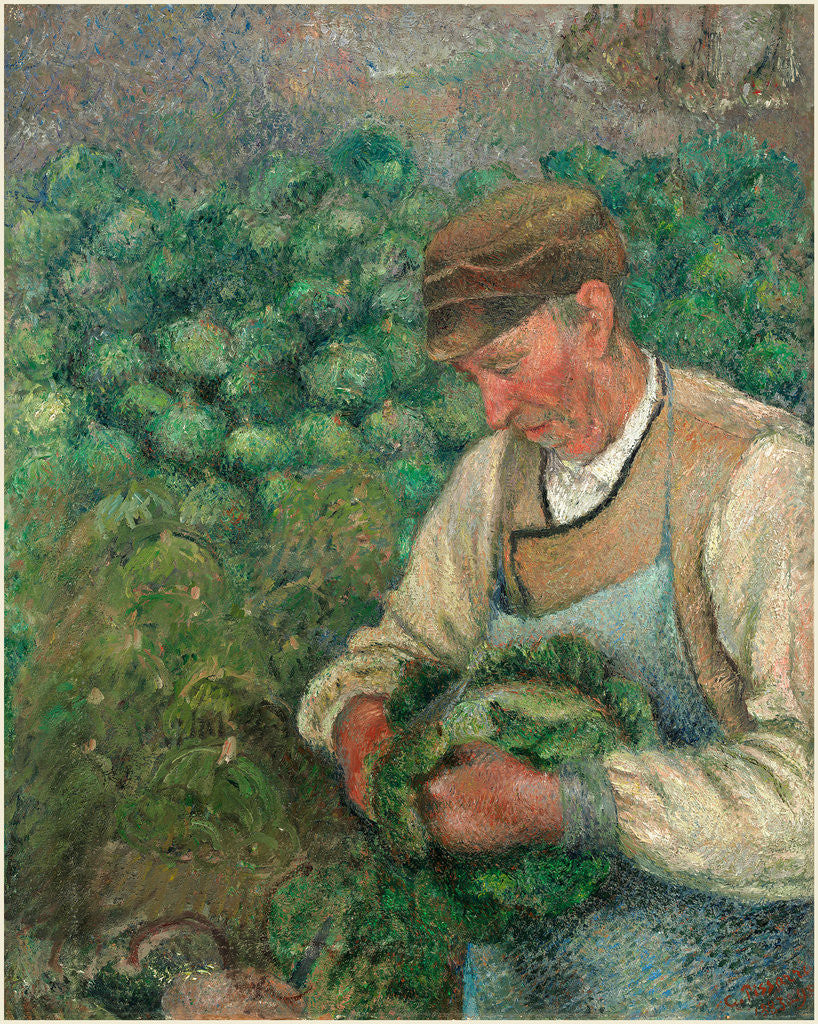 Detail of The Gardener-Old Peasant with Cabbage by Camille Pissarro