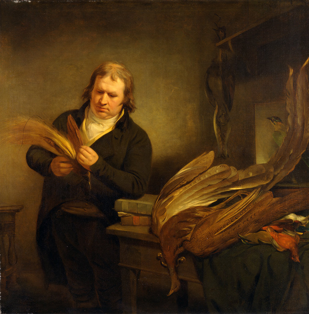 Detail of An Ornithologist, Probably John Latham by Ramsay Richard Reinagle