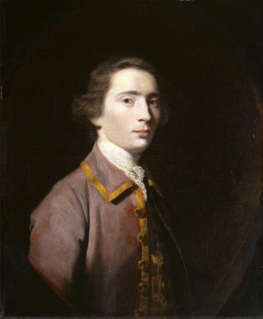 Detail of Charles Carroll of Carrollton by Sir Joshua Reynolds