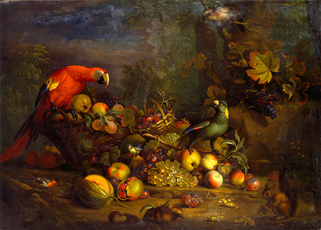 Detail of Parrots and Fruit with Other Birds and a Squirrel by Tobias Stranover