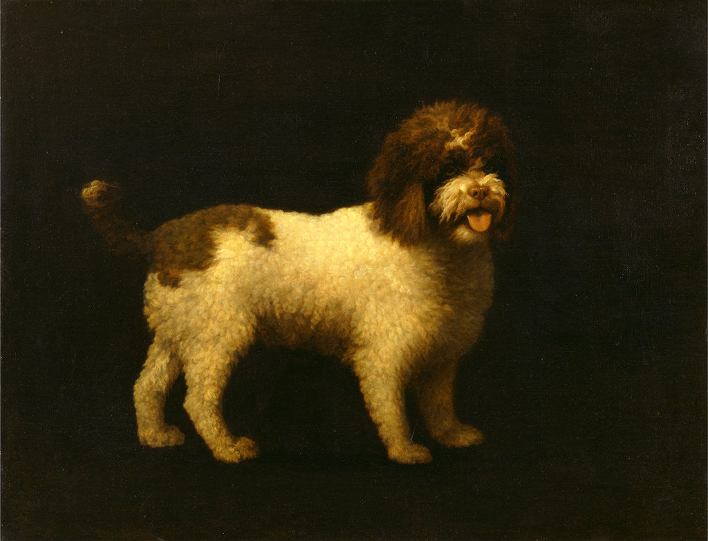 Detail of Water Spaniel by George Stubbs