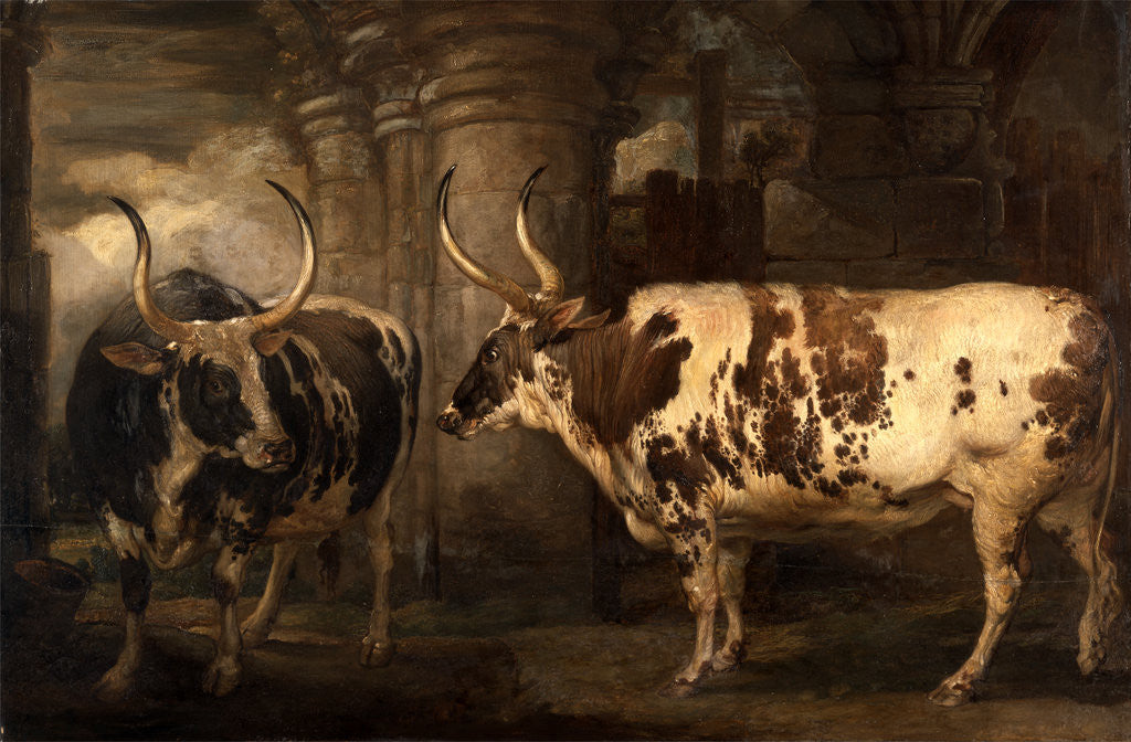 Detail of Portraits of two extraordinary oxen, the property of the Earl of Powis by James Ward