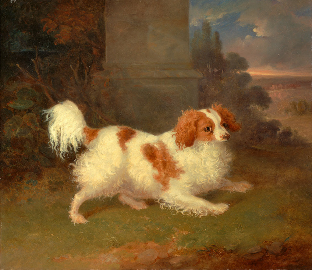 Detail of A Blenheim Spaniel, William Webb, ca. 1780-1845 by William Webb