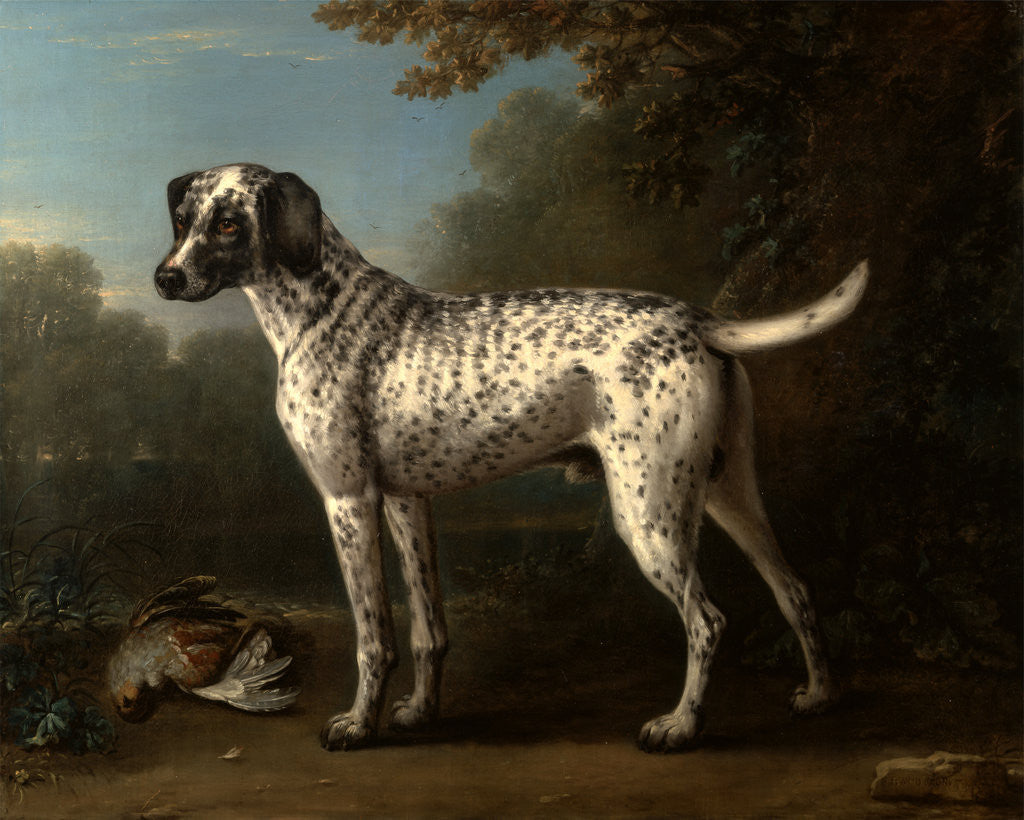 Detail of A Grey Spotted Hound by John Wootton