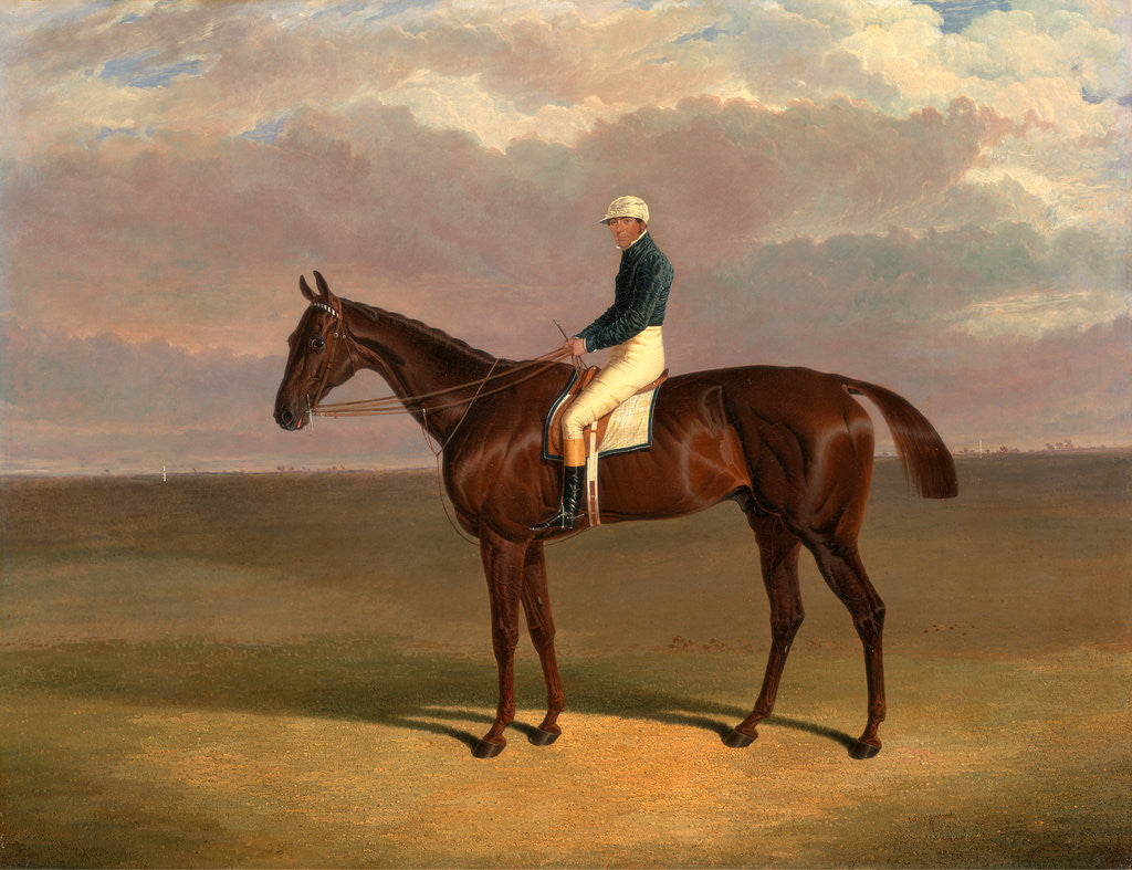 Detail of Margrave' with James Robinson Up by John Frederick Herring